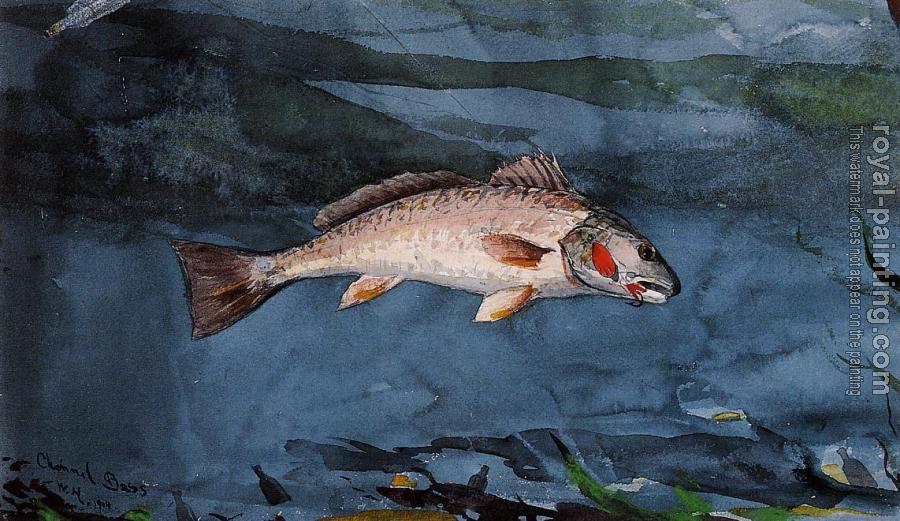 Winslow Homer : Channel Bass, Florida